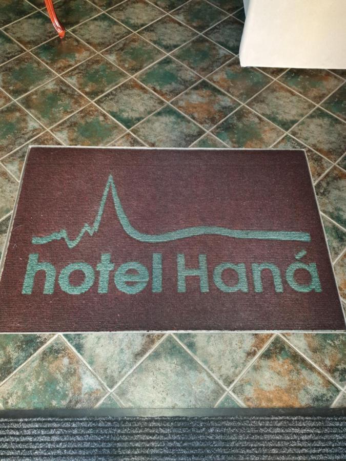 Wellness Hotel Hana Марианске-Лазне Экстерьер фото